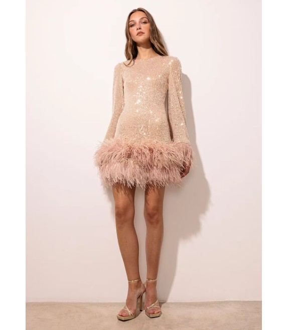 Langarm Glitzer Mini Cocktailkleid mit Sexy Rückenausschnitt Champagne